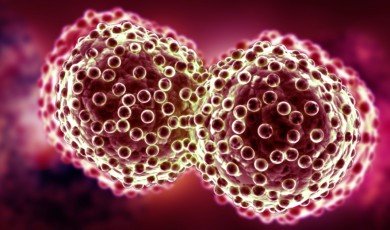 Understanding Different Types of Cancer and Breast Cancer: Symptoms, Diagnosis, and Treatment Options