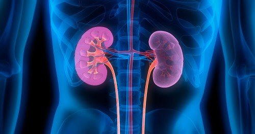 Chronic kidney disease